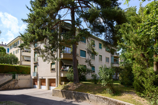 image Bd de la Forêt 41